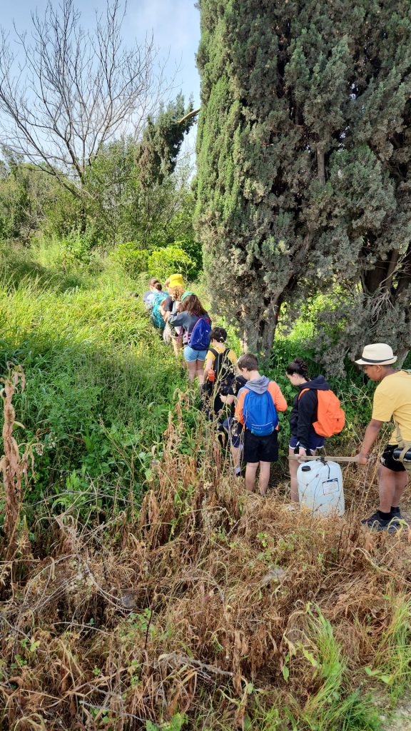 שיעורי העשרה לילדים