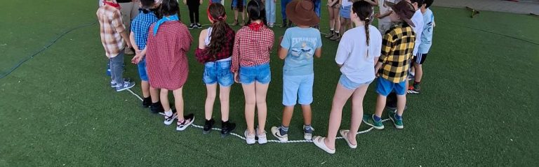 פעילות ODT