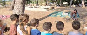 פעילות ODT