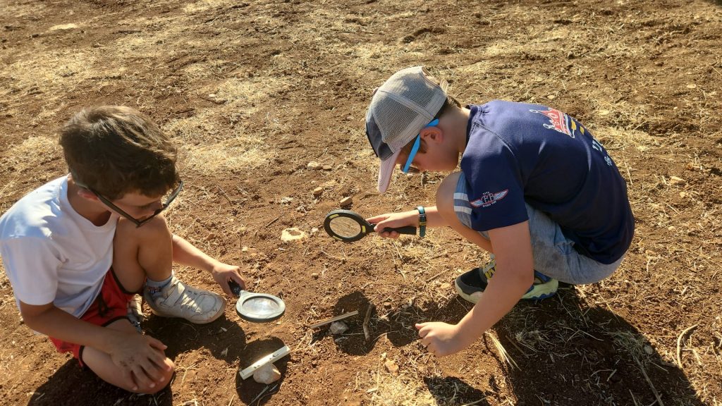 יום הולדת הישרדות