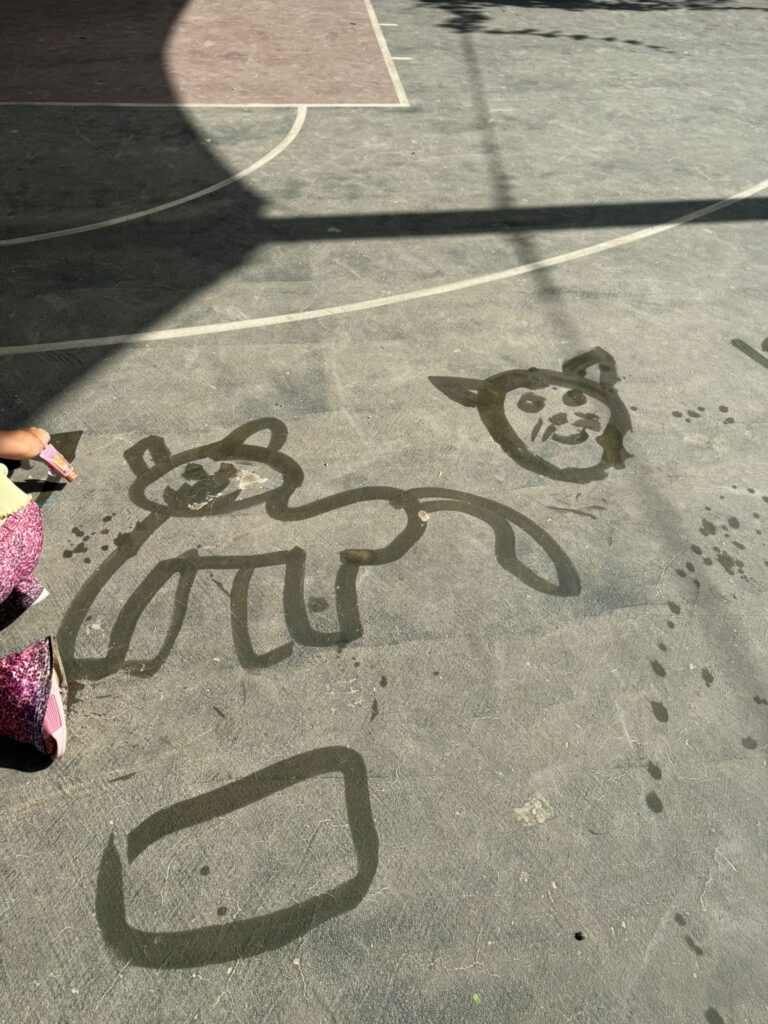 צביעת מדרכות ברולרים